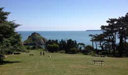 View of a fantastic Torquay dog walk at Thatcher Rock