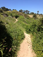Torquay dog walk along South West Coast Path